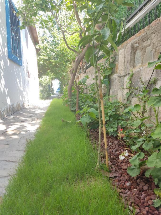 Apart Turgutreis Luaran gambar