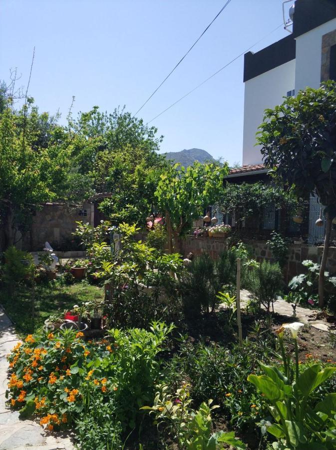 Apart Turgutreis Luaran gambar
