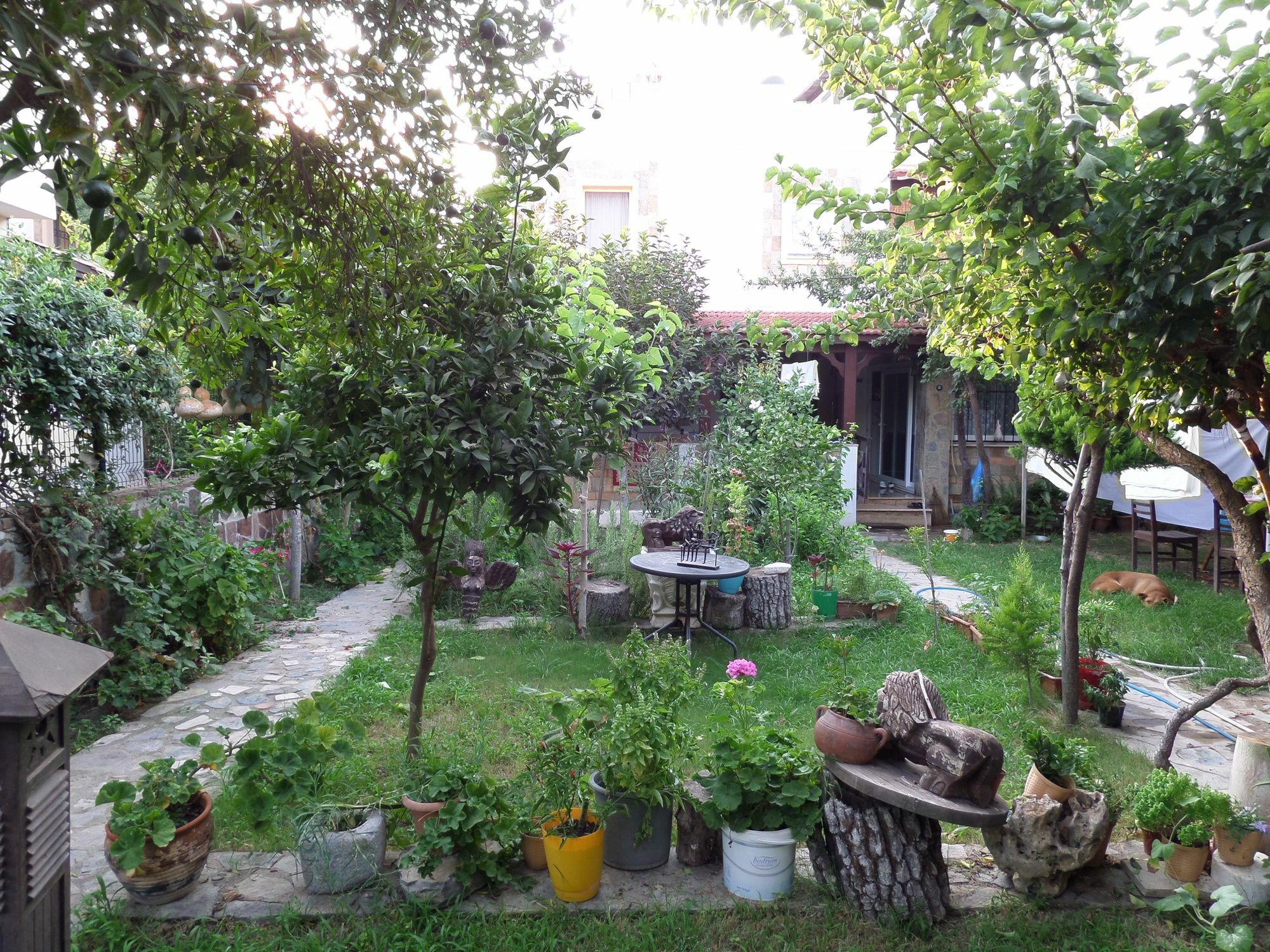 Apart Turgutreis Luaran gambar